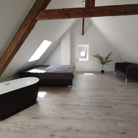 Loft Apartment Am Bahnhof 阿尔伯斯塔特 外观 照片