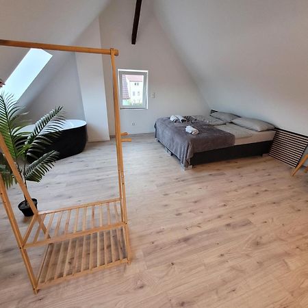 Loft Apartment Am Bahnhof 阿尔伯斯塔特 外观 照片
