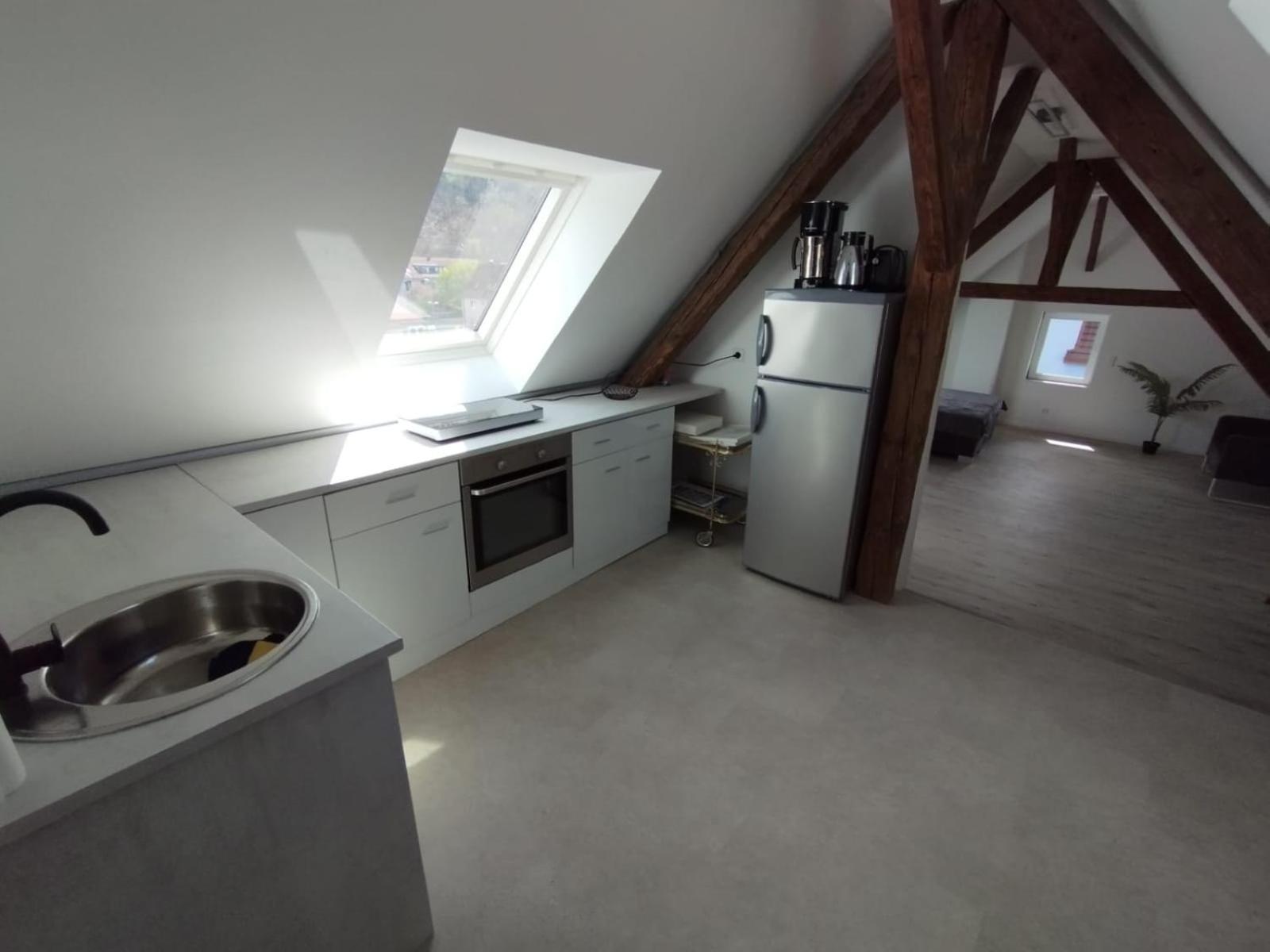 Loft Apartment Am Bahnhof 阿尔伯斯塔特 外观 照片