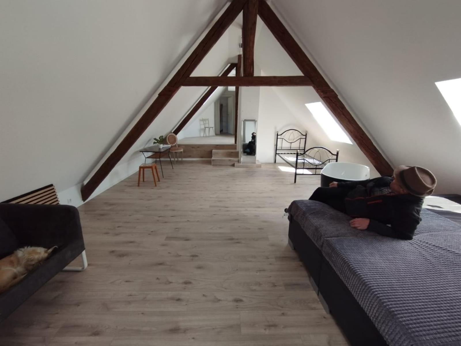 Loft Apartment Am Bahnhof 阿尔伯斯塔特 外观 照片