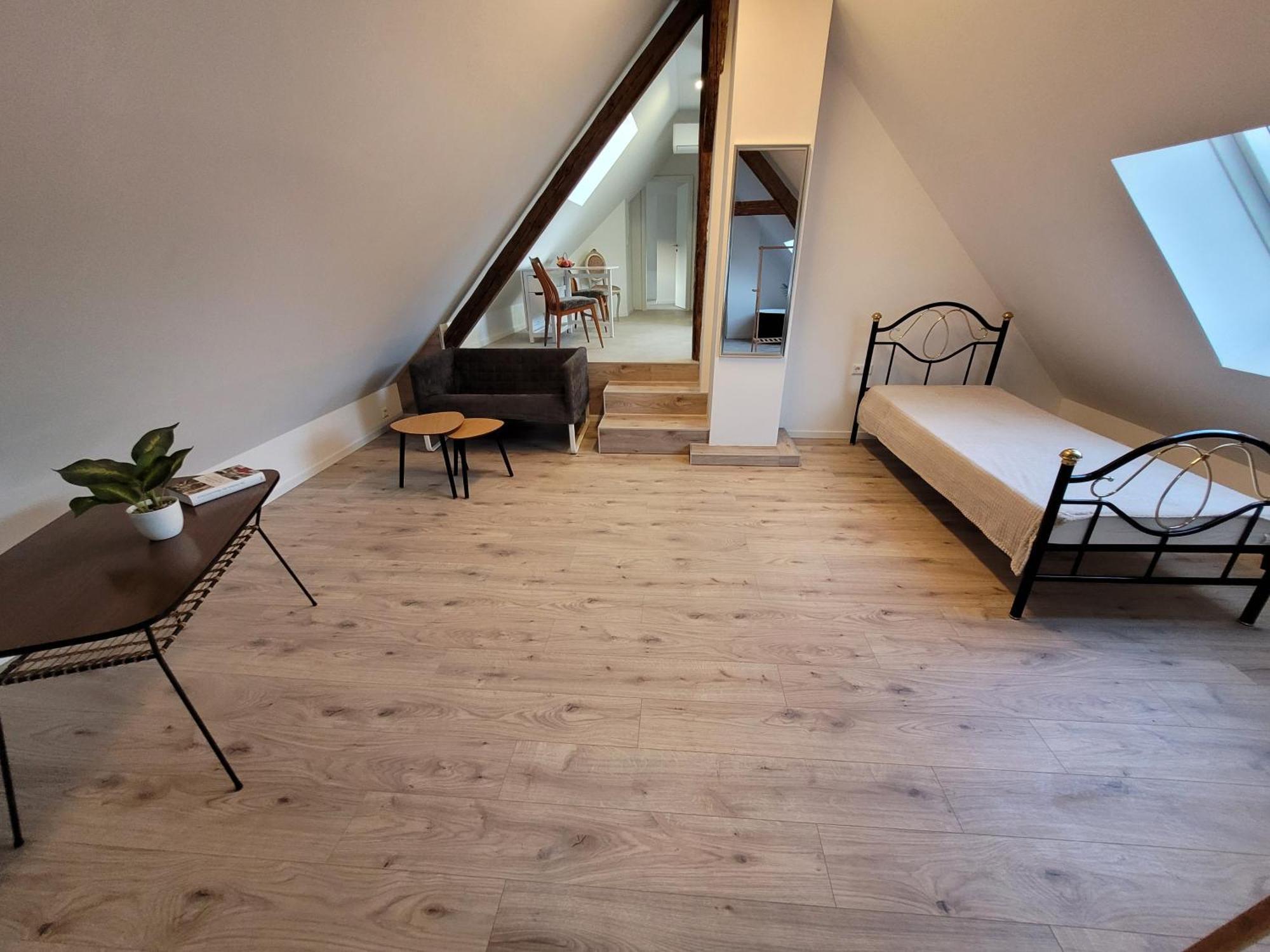 Loft Apartment Am Bahnhof 阿尔伯斯塔特 外观 照片